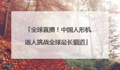 全球直播！中国人形机器人挑战全球最长猫道