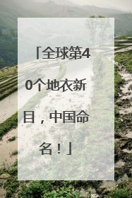 全球第40个地衣新目，中国命名！