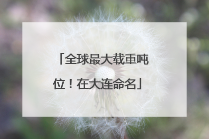 全球最大载重吨位！在大连命名