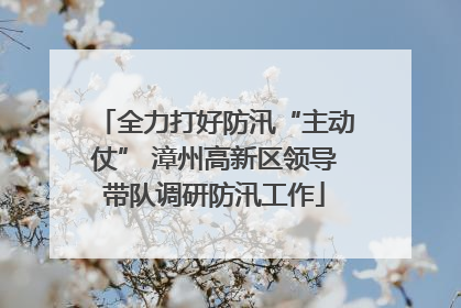 全力打好防汛“主动仗” 漳州高新区领导带队调研防汛工作