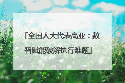 全国人大代表高亚：数智赋能破解执行难题