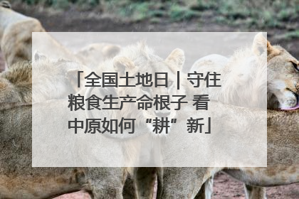 全国土地日｜守住粮食生产命根子 看中原如何“耕”新