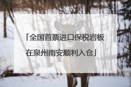 全国首票进口保税岩板在泉州南安顺利入仓