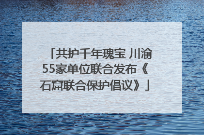 共护千年瑰宝 川渝55家单位联合发布《石窟联合保护倡议》