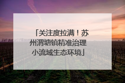 关注度拉满！苏州渭塘镇精准治理小流域生态环境