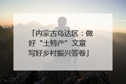 内蒙古乌达区：做好“土特产”文章 写好乡村振兴答卷