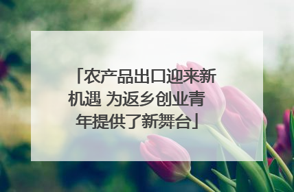 农产品出口迎来新机遇 为返乡创业青年提供了新舞台
