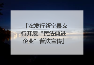 农发行新宁县支行开展“民法典进企业”普法宣传