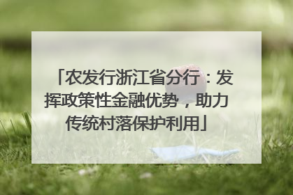 农发行浙江省分行：发挥政策性金融优势，助力传统村落保护利用