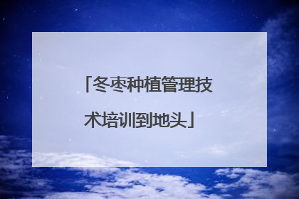 冬枣种植管理技术培训到地头