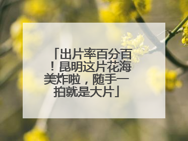 出片率百分百！昆明这片花海美炸啦，随手一拍就是大片