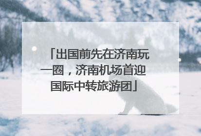 出国前先在济南玩一圈，济南机场首迎国际中转旅游团