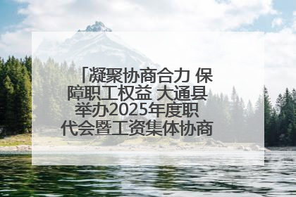 凝聚协商合力 保障职工权益 大通县举办2025年度职代会暨工资集体协商现场观摩交流活动