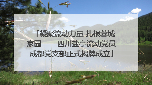 凝聚流动力量 扎根蓉城家园——四川盐亭流动党员成都党支部正式揭牌成立