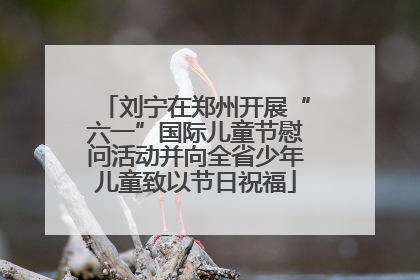 刘宁在郑州开展“六一”国际儿童节慰问活动并向全省少年儿童致以节日祝福