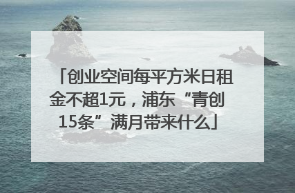 创业空间每平方米日租金不超1元，浦东“青创15条”满月带来什么