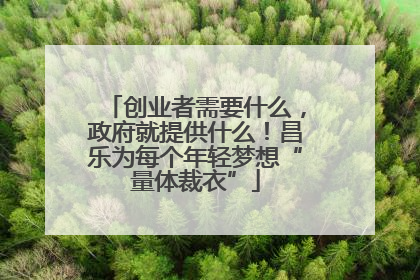 创业者需要什么，政府就提供什么！昌乐为每个年轻梦想“量体裁衣”