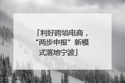 利好跨境电商，“两步申报”新模式落地宁波