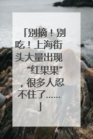 别摘！别吃！上海街头大量出现“红果果”，很多人忍不住了……