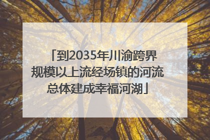 到2035年川渝跨界规模以上流经场镇的河流总体建成幸福河湖