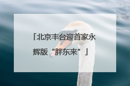 北京丰台迎首家永辉版“胖东来”