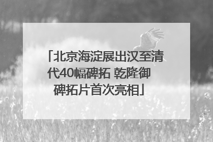 北京海淀展出汉至清代40幅碑拓 乾隆御碑拓片首次亮相