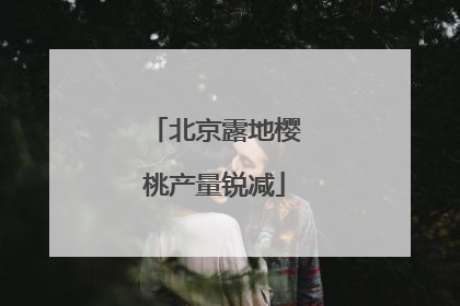 北京露地樱桃产量锐减
