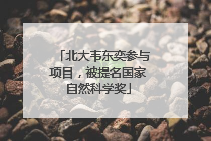 北大韦东奕参与项目，被提名国家自然科学奖