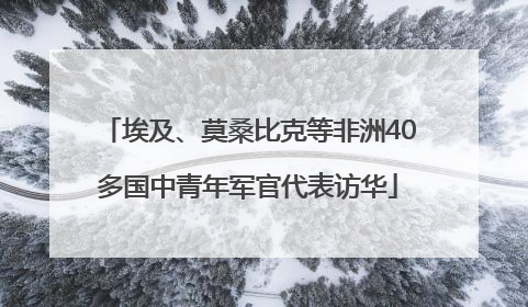 埃及、莫桑比克等非洲40多国中青年军官代表访华