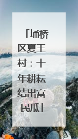 埇桥区夏王村：十年耕耘结出富民瓜