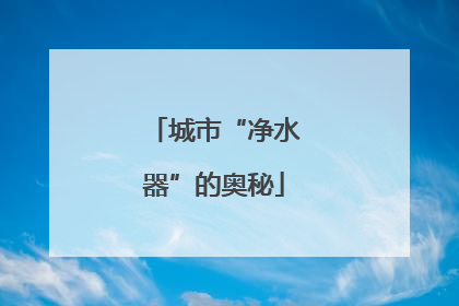 城市“净水器”的奥秘