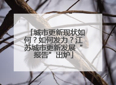 城市更新现状如何？如何发力？江苏城市更新发展“报告”出炉