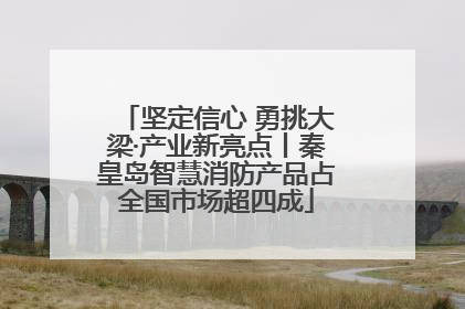 坚定信心 勇挑大梁·产业新亮点丨秦皇岛智慧消防产品占全国市场超四成