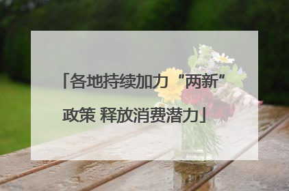 各地持续加力“两新”政策 释放消费潜力