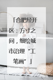 合肥经开区：方寸之间，细绘城市治理“工笔画”