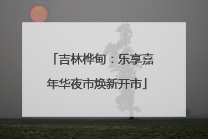 吉林桦甸：乐享嘉年华夜市焕新开市