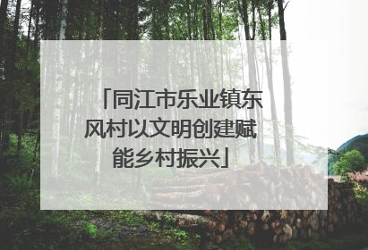 同江市乐业镇东风村以文明创建赋能乡村振兴