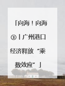 向海！向海③丨广州港口经济释放“乘数效应”