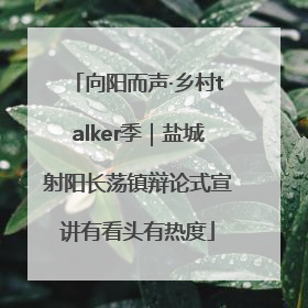 向阳而声·乡村talker季｜盐城射阳长荡镇辩论式宣讲有看头有热度
