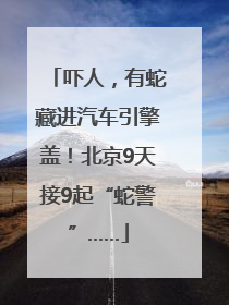 吓人，有蛇藏进汽车引擎盖！北京9天接9起“蛇警”……