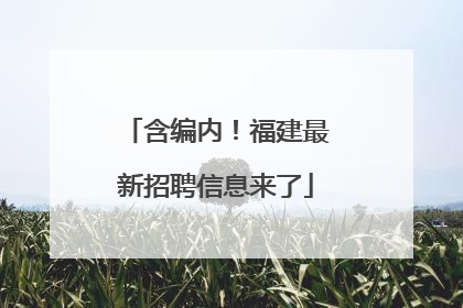 含编内！福建最新招聘信息来了