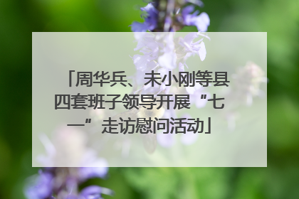 周华兵、未小刚等县四套班子领导开展“七一”走访慰问活动