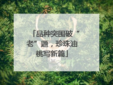 品种突围破“老”题，珍珠油桃写新篇