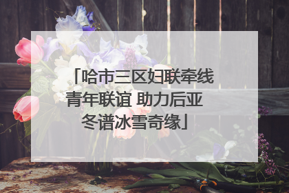 哈市三区妇联牵线青年联谊 助力后亚冬谱冰雪奇缘