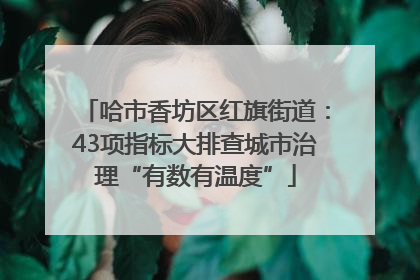 哈市香坊区红旗街道：43项指标大排查城市治理“有数有温度”