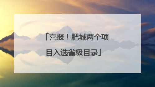 喜报！肥城两个项目入选省级目录