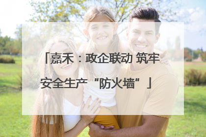 嘉禾：政企联动 筑牢安全生产“防火墙”
