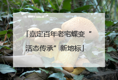 嘉定百年老宅蝶变“活态传承”新地标