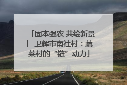 固本强农 共绘新景 ︳卫辉市南社村：蔬菜村的“链”动力