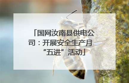国网汝南县供电公司：开展安全生产月“五进”活动
